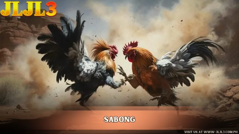 JLJL3 Sabong